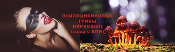 jwh Вязьма