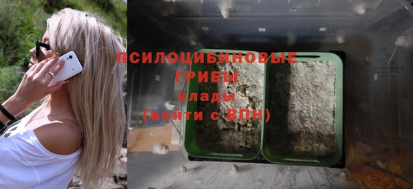 каннабис Горнозаводск